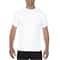 Assorted Comfort Colours® Adult T-shirt
